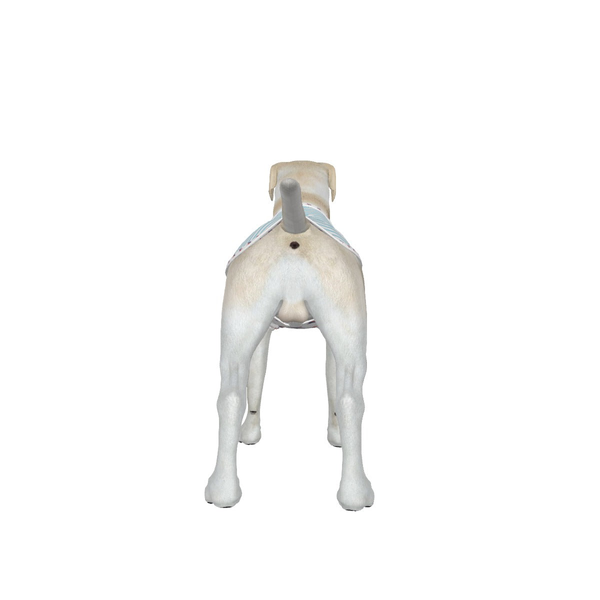 Poodle- Blue Candy Stripe- Make America Fetch Again - Big Dog's Tank Top